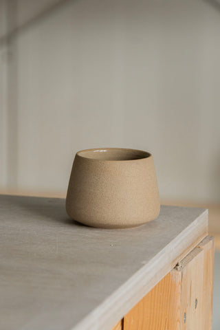 Coupe ronde - Tacheté